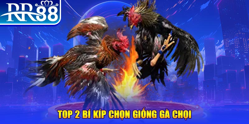 188bet bắn cá h5