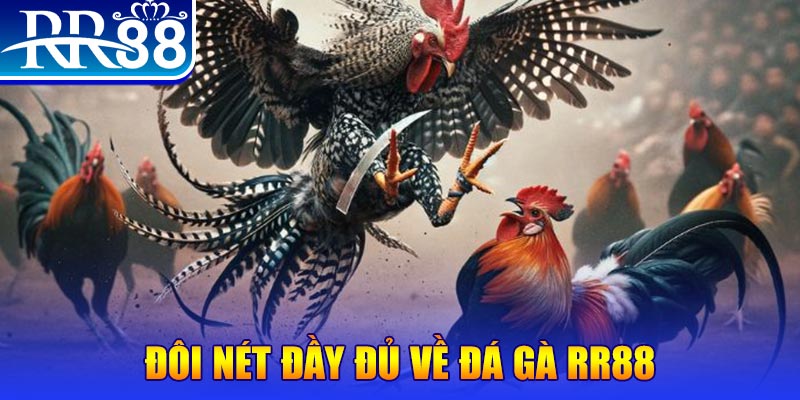 188bet gà chọi hoà phong