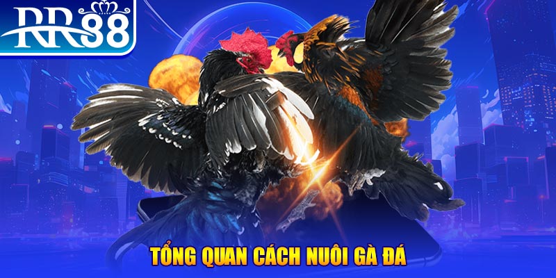 188bet xổ số thứ ba