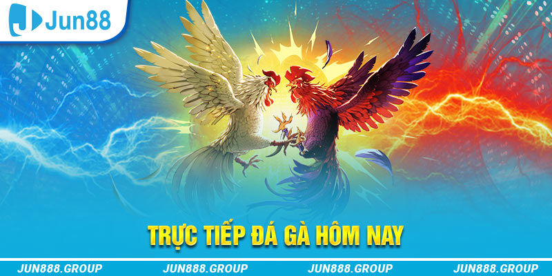 188bet trực tiếp đá gà thomo