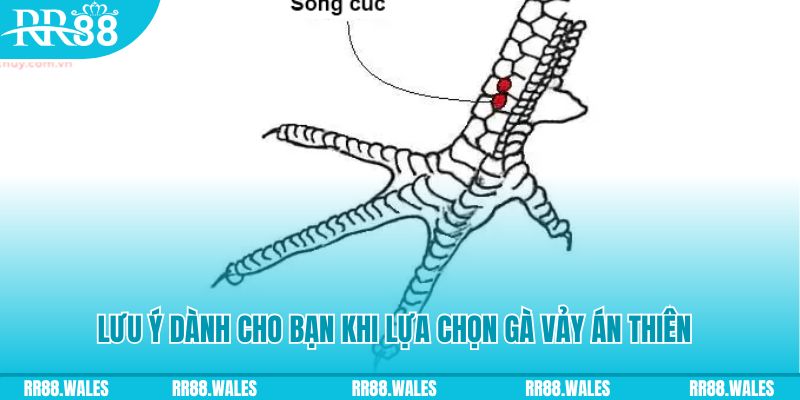 188bet xổ số khánh hòa
