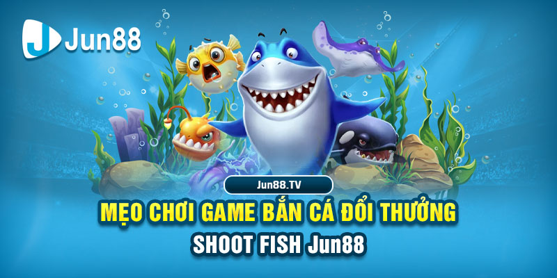 188bet tải game đánh bài online về máy tính