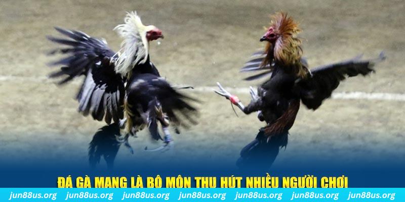 188bet xổ số long an