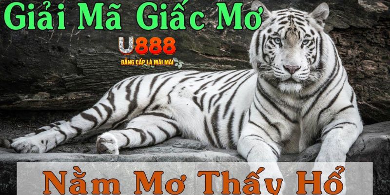 188bet Bài Poker Joker