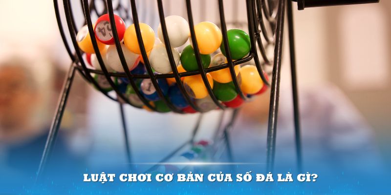 188bet Đĩa màu ace