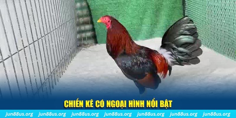 nhạc slot là gì